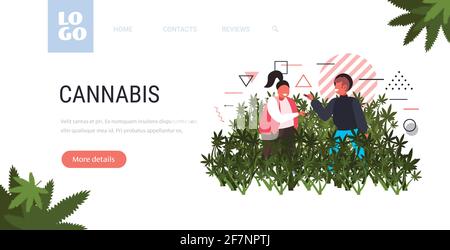 homme femme fumant du cannabis joint marijuana légale pour usage récréatif concept de consommation de drogues mauvaises herbes chanvre médical hash plantation champ horizontal Illustration de Vecteur