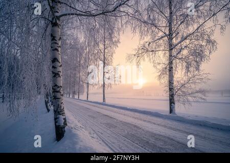 Paysage de neige pittoresque avec beau lever de soleil et route enneigée à Matin d'hiver en Finlande Banque D'Images