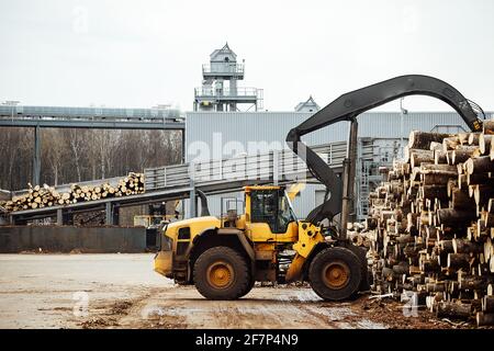 chargeur frontal pour le chargement du bois. un tracteur industriel transporte le bois abattu. usine de traitement du bois. chargement du bois à l'entrepôt Banque D'Images