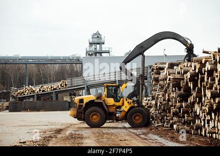 chargeur frontal pour le chargement du bois. un tracteur industriel transporte le bois abattu. usine de traitement du bois. chargement du bois à l'entrepôt Banque D'Images