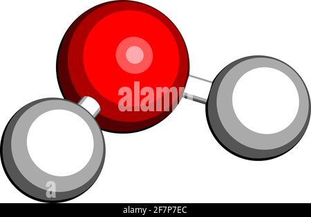 Molécule d'eau (H2O). Rendu 3D. Les atomes sont représentés sous forme de sphères avec un codage couleur conventionnel : hydrogène (blanc), oxygène (rouge). Illustration de Vecteur