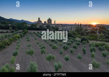 Vues aériennes de l'abbaye de Poblet, au coucher du soleil, parmi les oliveraies (province de Tarragone, Catalogne, Espagne) ESP: Vues aéreas del Real Monasterio de Poblet Banque D'Images