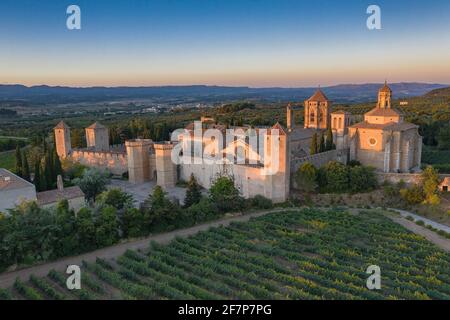 Vue aérienne de l'abbaye de Poblet, au coucher du soleil, parmi les vignobles (province de Tarragone, Catalogne, Espagne) ESP: Vues aéreas del Real Monasterio de Poblet Banque D'Images