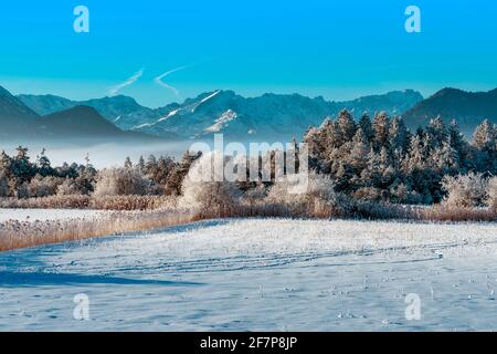 Murnauer Moos en hiver, vue sur les montagnes Wetterstein avec Zugspitze et Alpspitze, Allemagne, Bavière, Oberbayern, haute-Bavière Banque D'Images