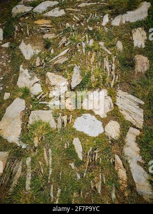 Stony et sentier de montagne herbacé dans les montagnes Giant Banque D'Images