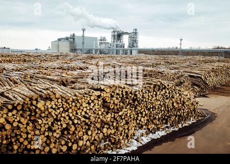 entrepôt d'arbres abattus à l'usine. les cheminées des usines de tabac polluent l'atmosphère. la grue industrielle décharge les matières premières en bois Banque D'Images