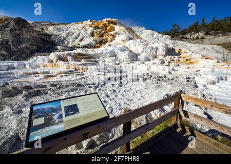 Ressorts de palette. Devils pouce à Mammoth Hot Springs. Parc national de Yellowstone. Wyoming. ÉTATS-UNIS. Banque D'Images