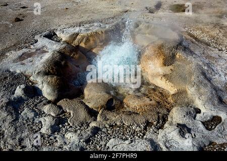 Bassin de sable noir. Jewel Geyser dans le parc national de Yellowstone. Wyoming. ÉTATS-UNIS. Banque D'Images