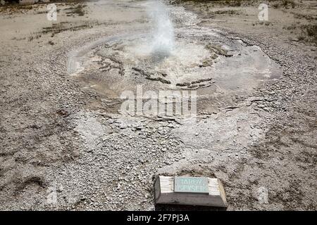 Geyser en retard dans le parc national de Yellowstone. Wyoming. ÉTATS-UNIS. Banque D'Images