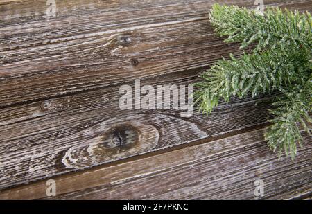 vue inclinée des branches de pin sur un bois marron surface Banque D'Images