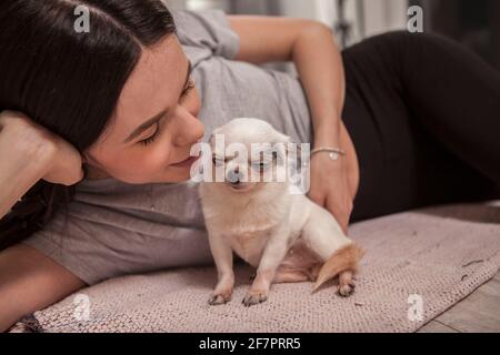 Belle femme en cuddling avec son mignon petit chiot chihuahua Banque D'Images