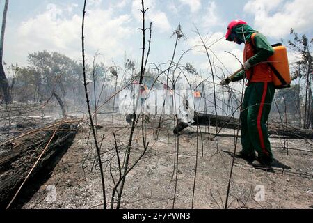 prado, bahia / brésil - 8 décembre 2009 : les membres de la brigade combattent le feu de forêt dans les forêts indigènes du Parc national de la découverte, dans la municipalité de Pr Banque D'Images