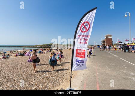 Un drapeau indiquant que les chiens ne sont pas admis sur la plage, sur la promenade du front de mer en été dans la région de Littlehampton, West Sussex, Angleterre, Royaume-Uni. Banque D'Images