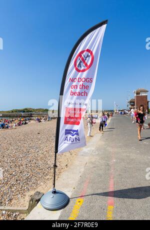 Un drapeau indiquant que les chiens ne sont pas admis sur la plage, sur la promenade du front de mer en été dans la région de Littlehampton, West Sussex, Angleterre, Royaume-Uni. Banque D'Images