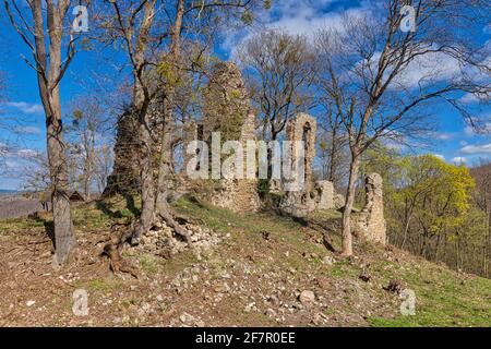 Burgruine Stecklenburg BEI Stecklenberg im Harz Banque D'Images