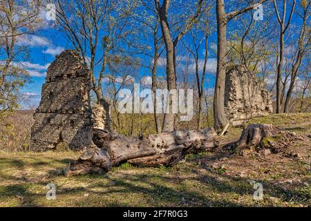 Burgruine Stecklenburg BEI Stecklenberg im Harz Banque D'Images