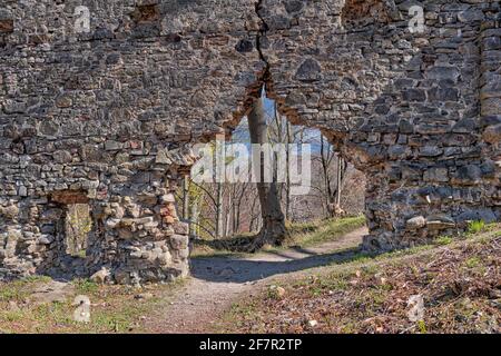 Burgruine Stecklenburg BEI Stecklenberg im Harz Banque D'Images