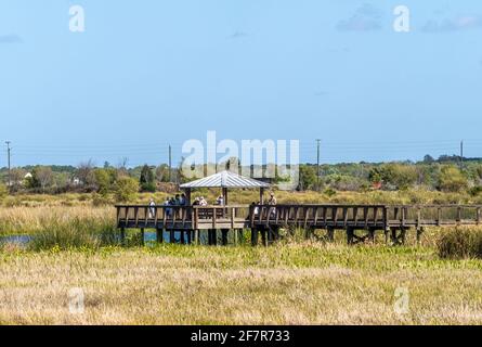 Plate-forme d'observation et promenade dans la zone des terres humides de Celery Fields À Sarasota Floride Etats-Unis Banque D'Images