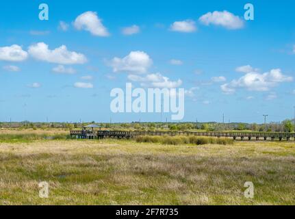 Plate-forme d'observation et promenade dans la zone des terres humides de Celery Fields À Sarasota Floride Etats-Unis Banque D'Images