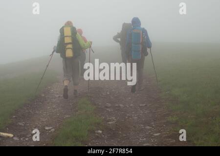 Groupe de touristes allant avec des sacs à dos et des bâtons dans le brouillard profond dans la montagne. Carpates, Ukraine. Banque D'Images