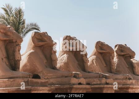 Ruines du temple égyptien de Karnak, le plus grand musée en plein air de Louxor. Banque D'Images