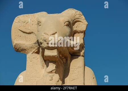 Ruines du temple égyptien de Karnak, le plus grand musée en plein air de Louxor. Banque D'Images