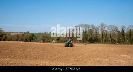 Hampshire, Angleterre, Royaume-Uni. 2021. Le printemps et un tracteur vert avec un semoir travaillant dans un champ à Micheldever près de Winchester, Angleterre, Royaume-Uni Banque D'Images