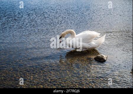 Effacer la journée froide à Ullswater Banque D'Images
