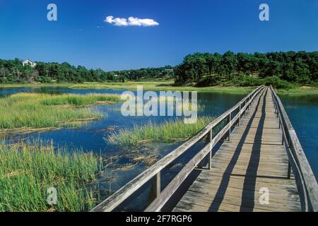 Uncle Tim's Bridge, une passerelle historique enjambant Duck Creek à Wellfleet, Cape Cod, ma, États-Unis Banque D'Images