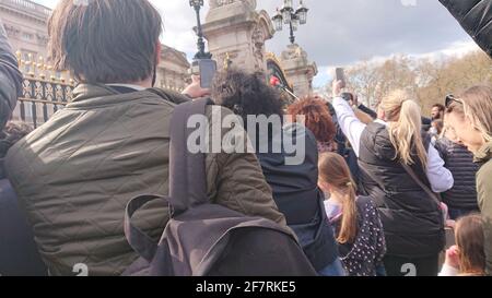 Des foules se rassemblent devant le palais de Buckingham à Westminster pour pleurer la mort du prince Philip, le 2021 avril