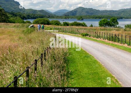 Temps ensoleillé Irlande couple de touristes marchant dans l'allée du parc par jour ensoleillé lumineux à la baie de Castlelough dans le parc national de Killarney, comté de Kerry Banque D'Images