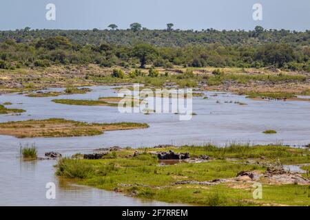 Rivière Olifants de H1 dans le parc national Kruger Afrique du Sud Banque D'Images