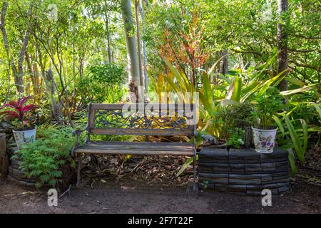 Bois décoratif et banc de jardin en fer forgé parmi les plantes ombragées Dans un jardin subtropical coloré en Australie Banque D'Images