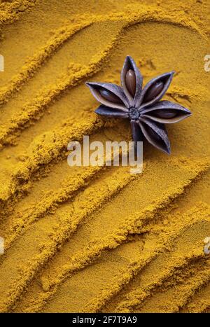 Étoile anis sur sable turmerique, curcuma jaune Banque D'Images