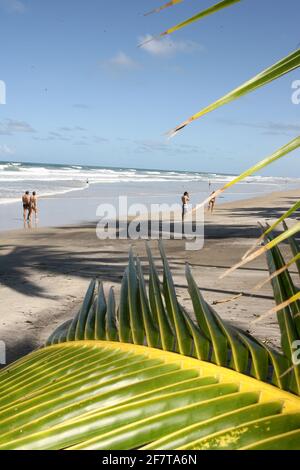 itacare, bahia / brésil - 30 août 2011 : vue sur la plage Itacarezinho à Itacare. L'endroit est entre la mer et la forêt atlantique, dans le sud de Ba Banque D'Images