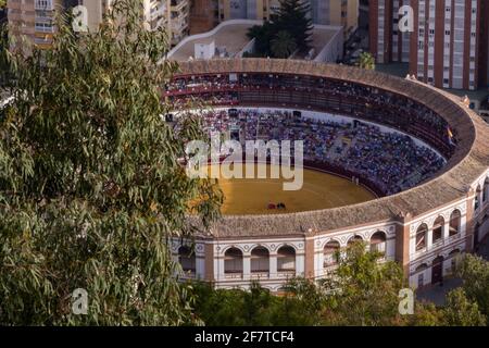 Vue en grand angle d'un arène de Bullfighting par une journée ensoleillée encadrés par des arbres Banque D'Images