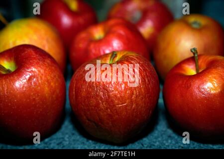 Une pomme rouge froissée dans un groupe de huit. Banque D'Images