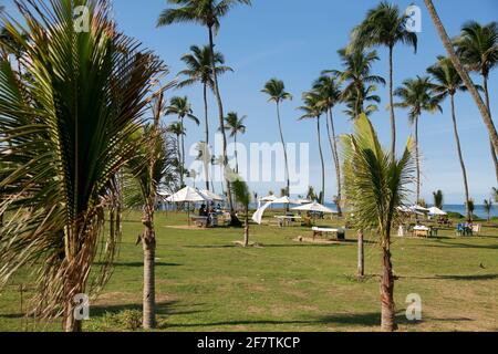 salvador, bahia / brésil - 23 mai 2015: Vue sur le jardin d'Alah à la périphérie de Salvador. *** Légende locale *** Banque D'Images