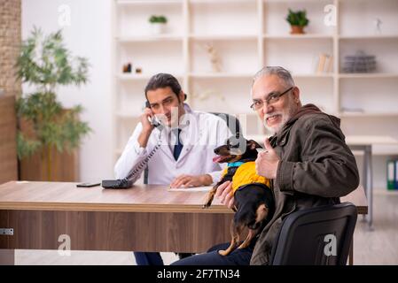 Jeune médecin vétérinaire examinant chien dans la clinique Banque D'Images