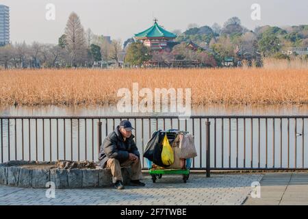 Homme japonais sans abri assis près de l'étang Shinobazu devant le temple Bentendo, parc Ueno, Tokyo, Japon Banque D'Images