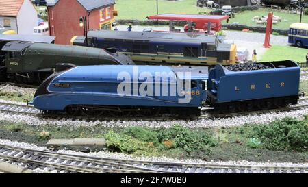 Un canard colvert une locomotive du Pacifique4. Banque D'Images