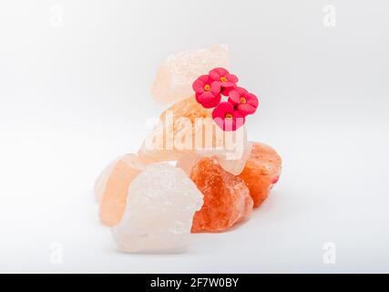 De grands morceaux de sel de mer himalayan et une fleur rouge du désert sont empilés les uns sur les autres pour la paix et l'équilibre. Isolé sur fond blanc Banque D'Images