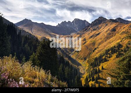 Vue aérienne de la vallée de montagne avec forêt luxuriante et rocky Peaks au Kazakhstan Banque D'Images