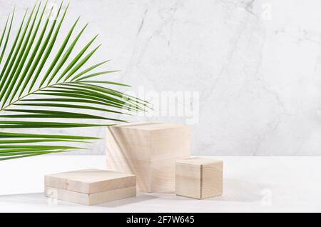 Podiums en bois avec feuilles de palmier vertes, ombre dans un élégant intérieur blanc avec mur en marbre gris dans une lumière du soleil pour l'exposition de produits cosmétiques. Banque D'Images