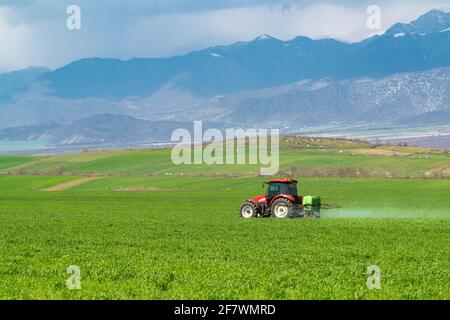 Le tracteur pulvérise des pesticides dans un champ de ferme Banque D'Images