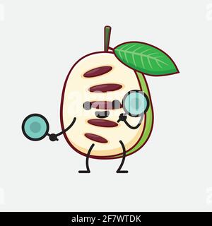 Illustration vectorielle du personnage de fruit pawpaw avec un visage mignon, des mains simples et des dessins de ligne de jambe sur un arrière-plan isolé. Style plat de dessin animé. Illustration de Vecteur