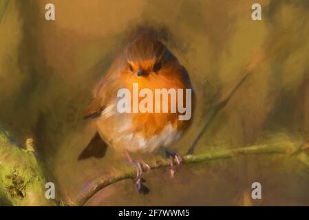 Peinture numérique d'un rouge-gorge européen, erithacus rubecula dans un habitat naturel de bois britannique. Banque D'Images