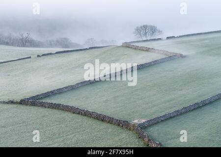 Les murs en pierre sèche sillonnent le paysage rural sous Malham Lings dans le parc national des Yorkshire Dales, lors d'une matinée de printemps brumeuse. Banque D'Images