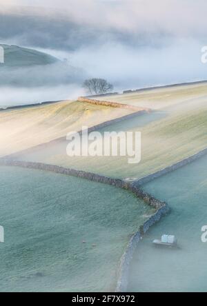 Les murs en pierre sèche sillonnent le paysage rural sous Malham Lings dans le parc national des Yorkshire Dales, lors d'une matinée de printemps brumeuse. Banque D'Images