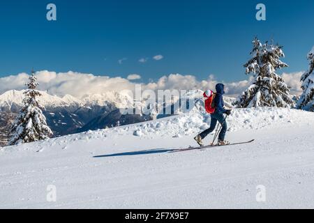 Sur le mont Zoncolan, les alpes carniques après une grosse chute de neige. Province d'Udine, région de Friuli-Venezia Giulia, Italie Banque D'Images